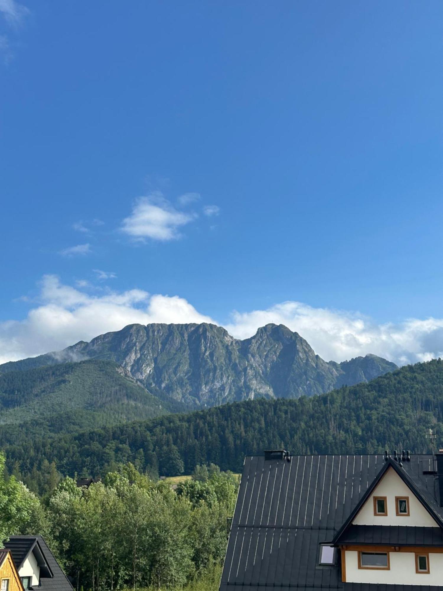 Willa Szafran Zakopane Exterior foto