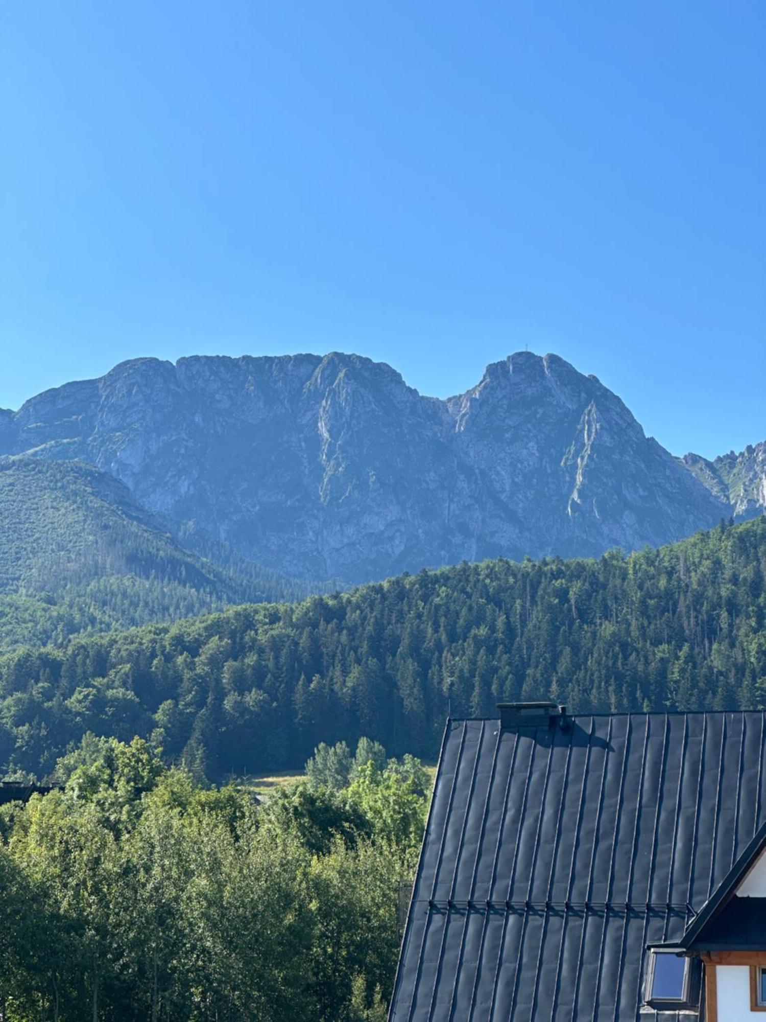 Willa Szafran Zakopane Exterior foto